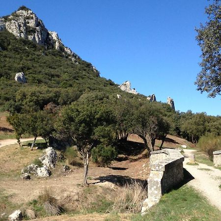 Les Lavandins-Gite Magali Saint-Rémy-de-Provence المظهر الخارجي الصورة