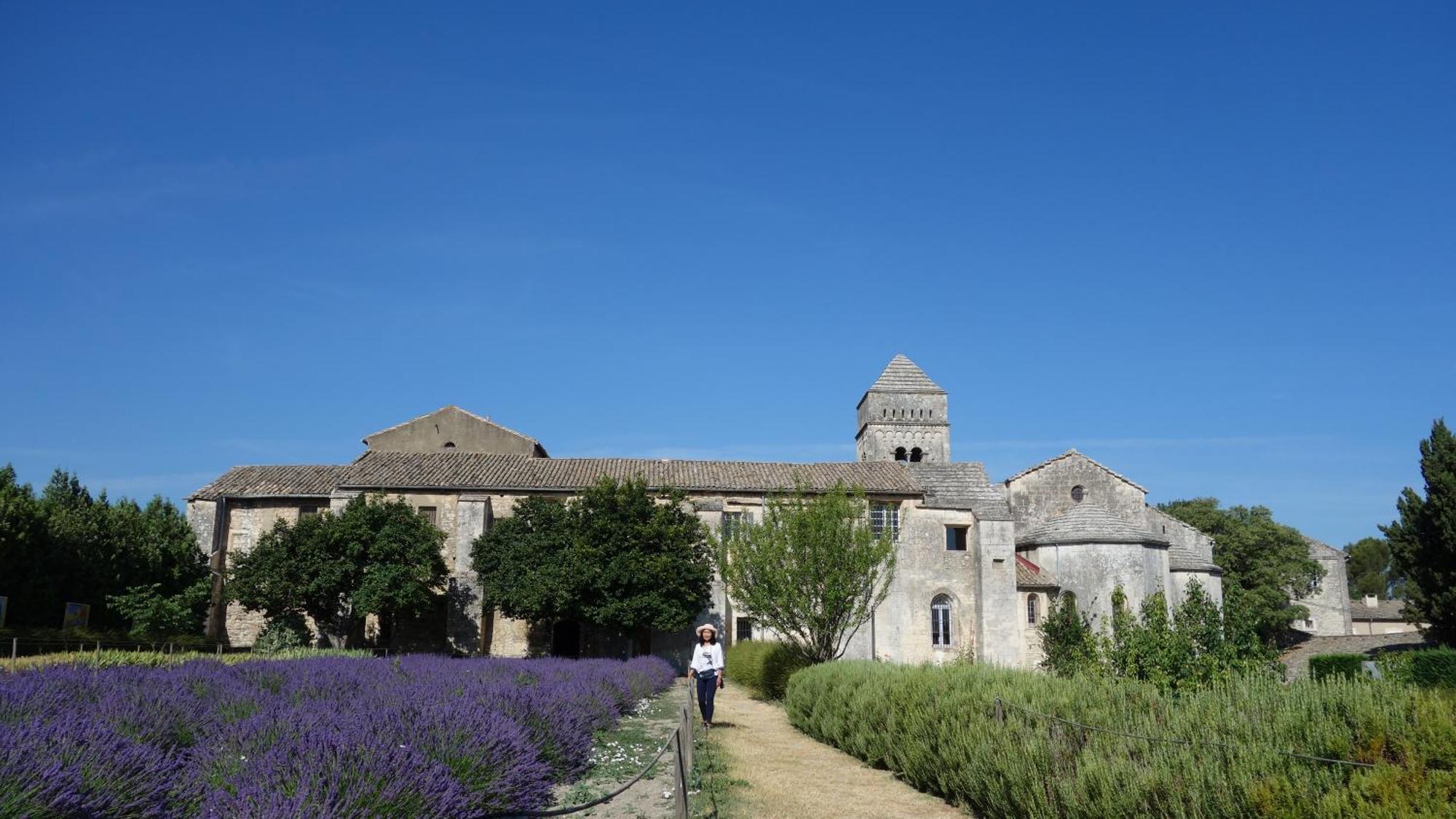Les Lavandins-Gite Magali Saint-Rémy-de-Provence المظهر الخارجي الصورة