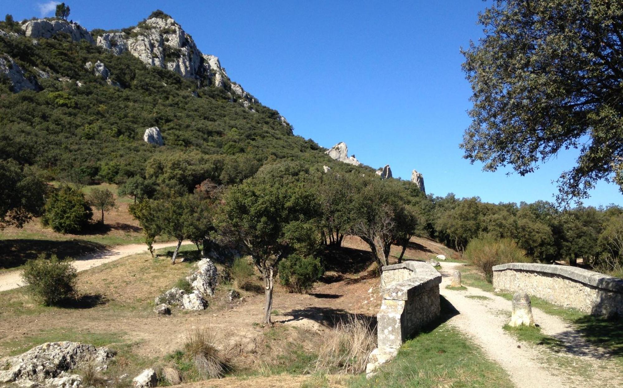 Les Lavandins-Gite Magali Saint-Rémy-de-Provence المظهر الخارجي الصورة
