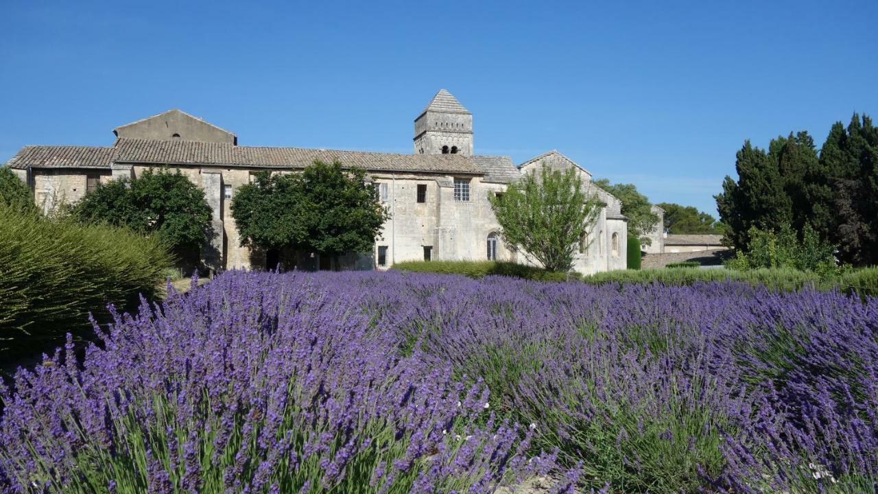 Les Lavandins-Gite Magali Saint-Rémy-de-Provence المظهر الخارجي الصورة