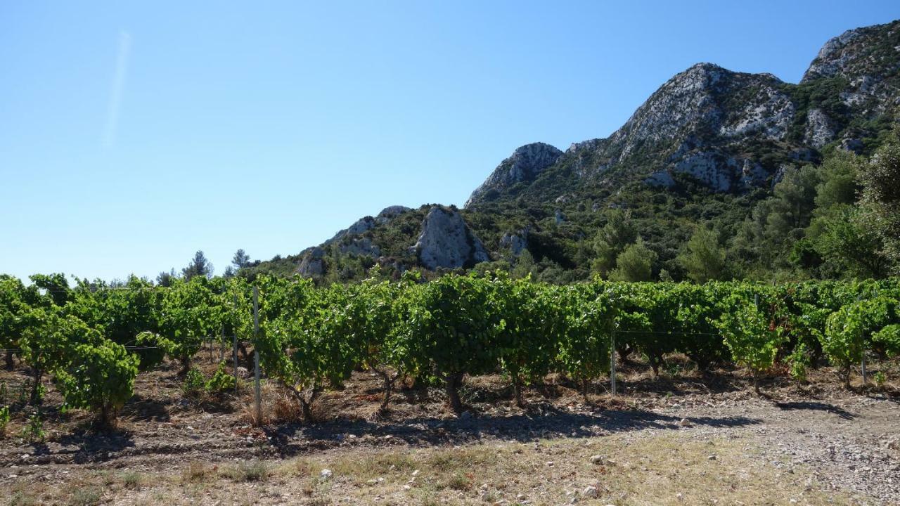 Les Lavandins-Gite Magali Saint-Rémy-de-Provence المظهر الخارجي الصورة