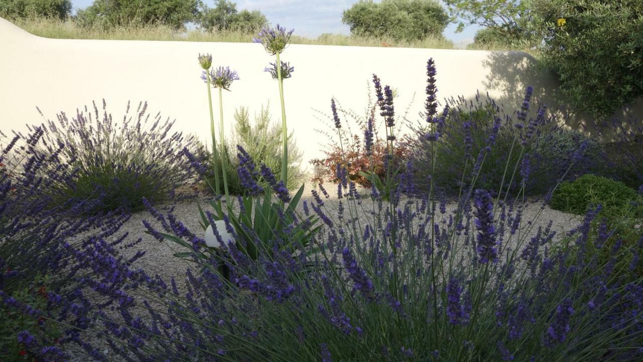 Les Lavandins-Gite Magali Saint-Rémy-de-Provence المظهر الخارجي الصورة