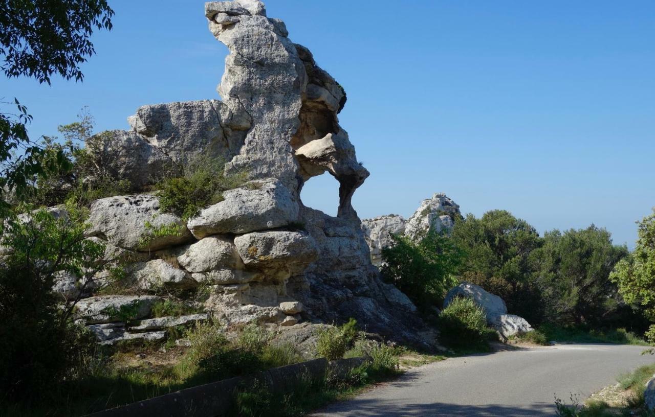 Les Lavandins-Gite Magali Saint-Rémy-de-Provence المظهر الخارجي الصورة