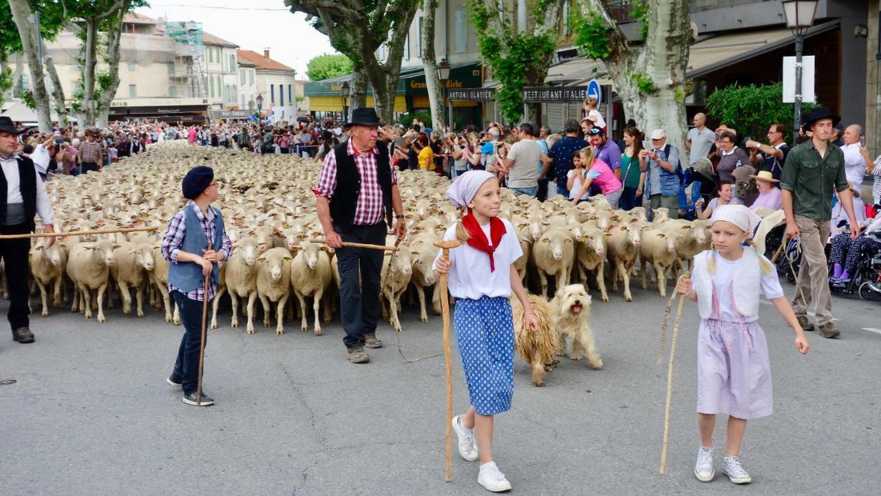 Les Lavandins-Gite Magali Saint-Rémy-de-Provence المظهر الخارجي الصورة